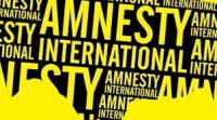 Нынешняя система неспособна расследовать преступления на Майдане /Amnesty International/